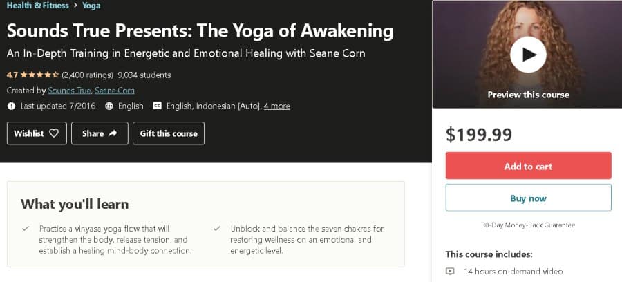 10. Sounds True Presents The Yoga of Awakening (Udemy)