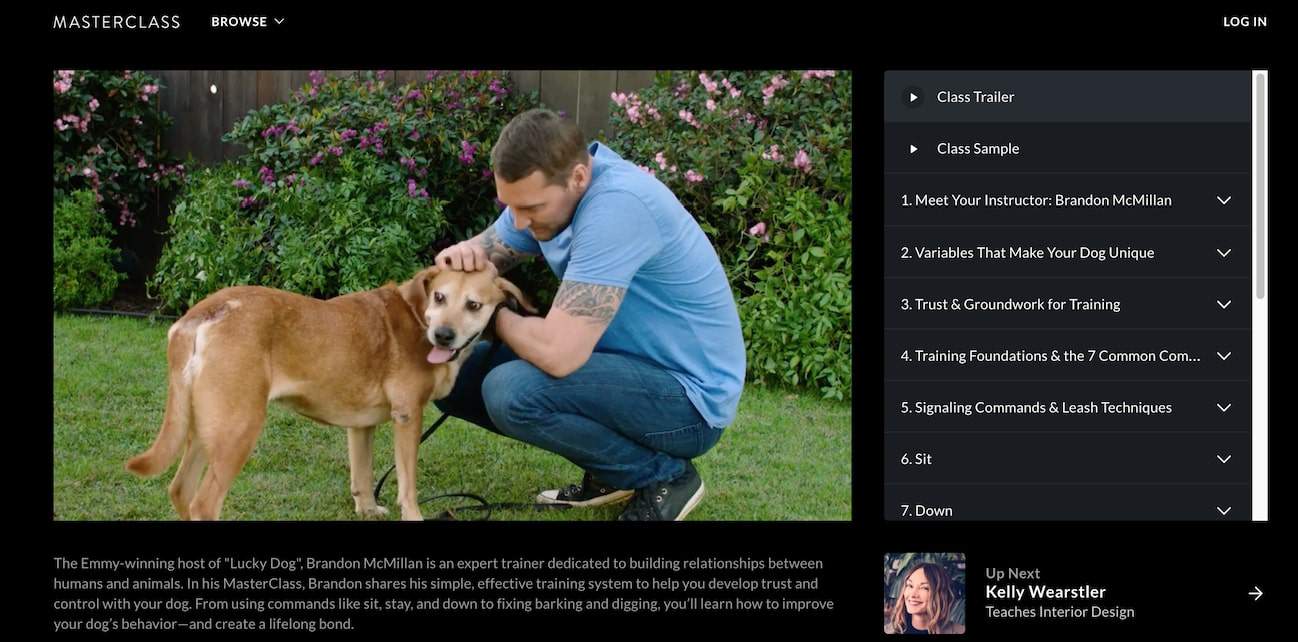 Brandon McMillan Teaches Dog Training