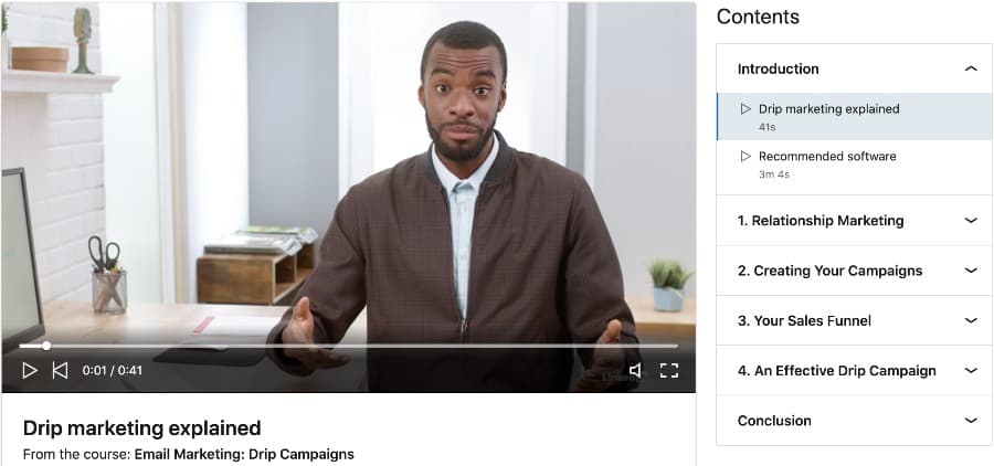 Email Marketing Drip Campaigns (LinkedIn Learning)