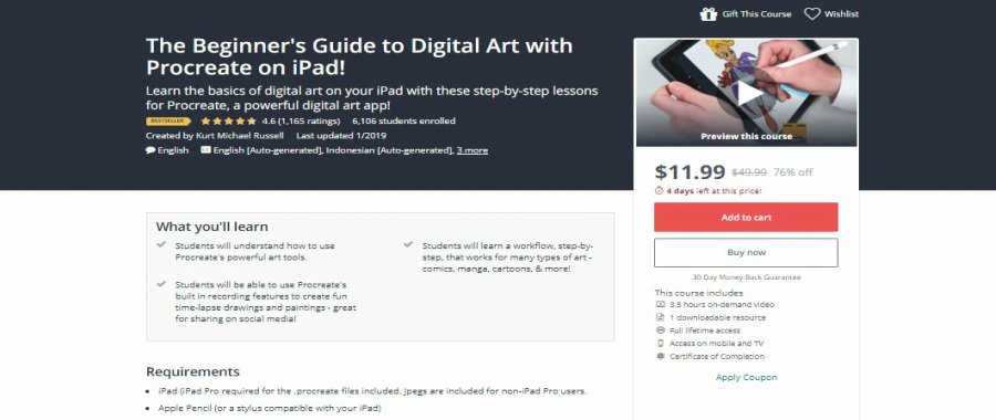 The Beginner's Guide to Digital Art with Procreate on iPad!