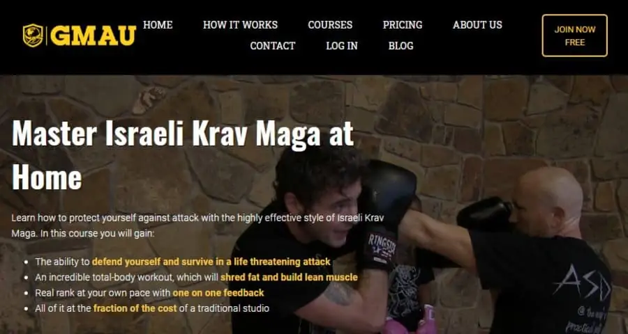 Master Israeli Krav Maga at Home